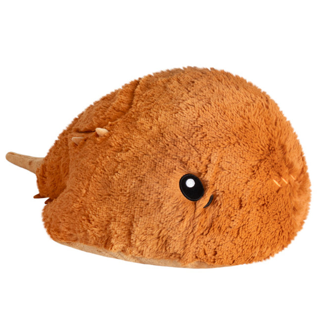 Horseshoe Crab main image