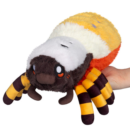 mini orb weaver spider front image