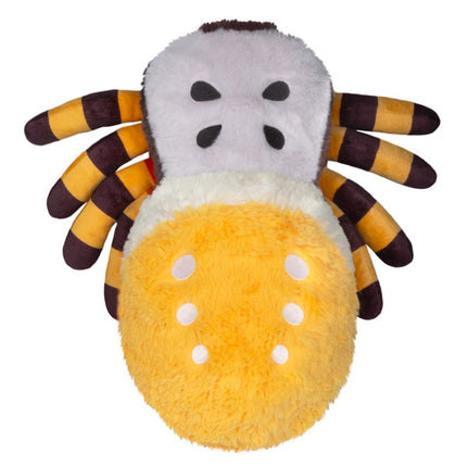 mini orb weaver spider top image