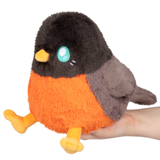 mini robin front image
