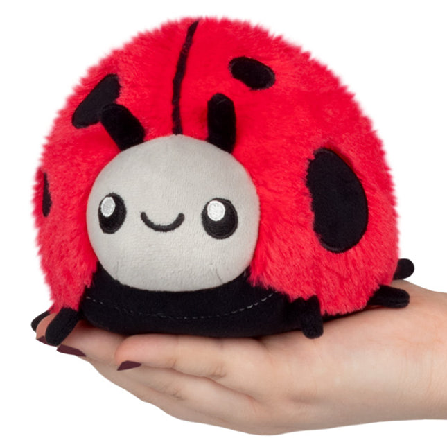 Snacker Ladybug Front Image