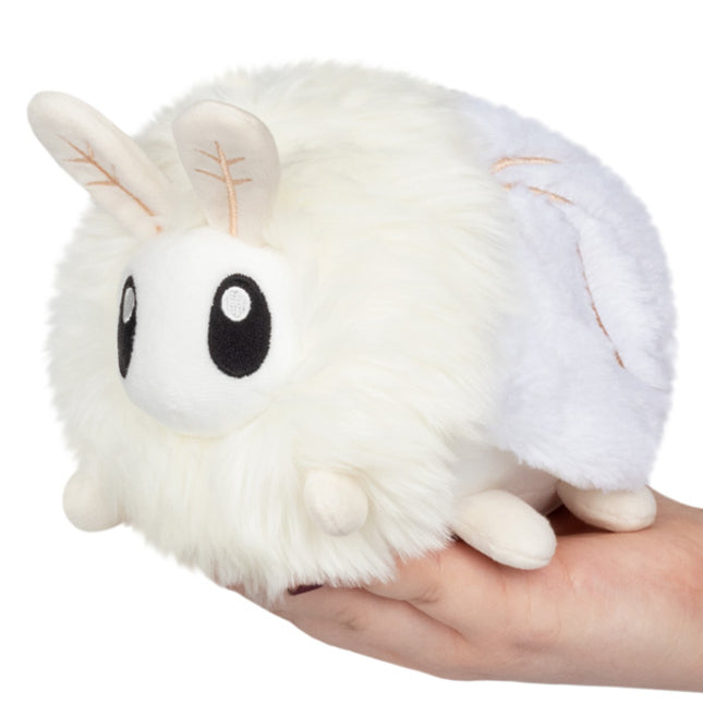 Snacker Poodle Moth Front Image