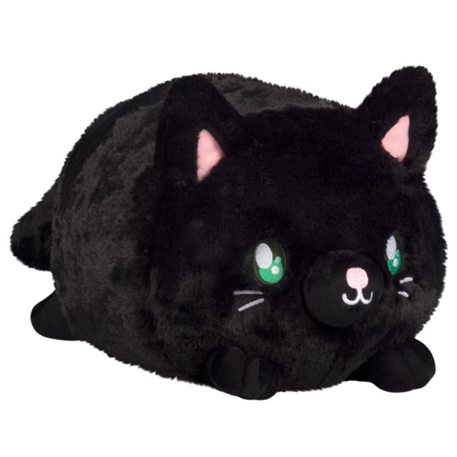 Black Kitty front view