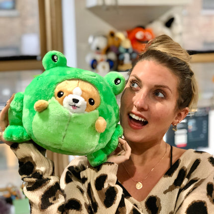 undercover corgi frog 7 user1