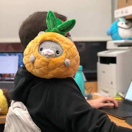 undercover kitty in pineapple 7 user1