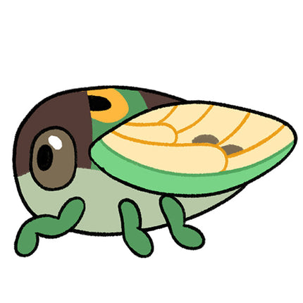 Mini Squishable Cicada design graphic