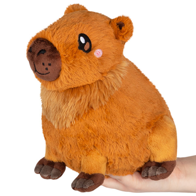 mini capybara main image