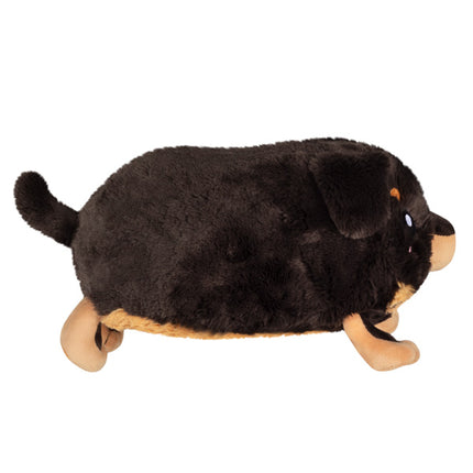 Mini Fluffy Dachshund Side Image 
