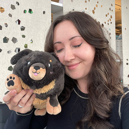 Mini Fluffy Dachshund User Image 