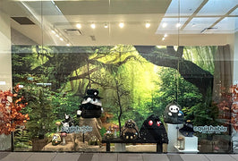 woodland mall windowfront