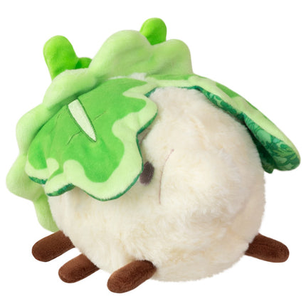 Alteregos Moth Turnip Side