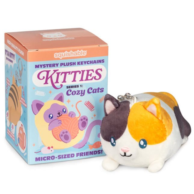 blind box kitties series 1 cozy cats box & calico cat photo