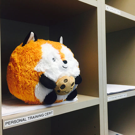 Mini Squishable Fox Holding a Cookie