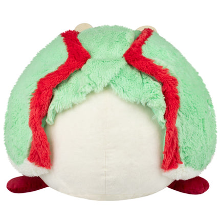 mega luna moth back image