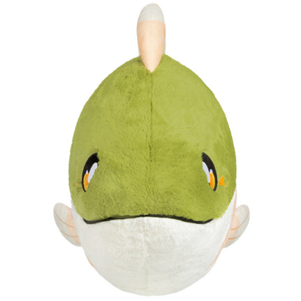 Mega Rainbow Trout Front View