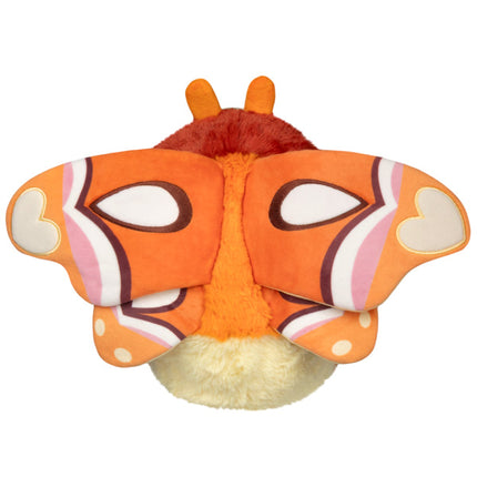 Mini Atlas Moth Top View