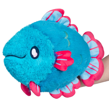 Betta Fish, Mini