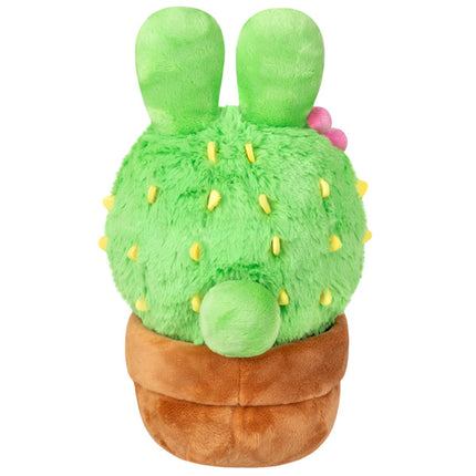Mini Bunny Cactus Back