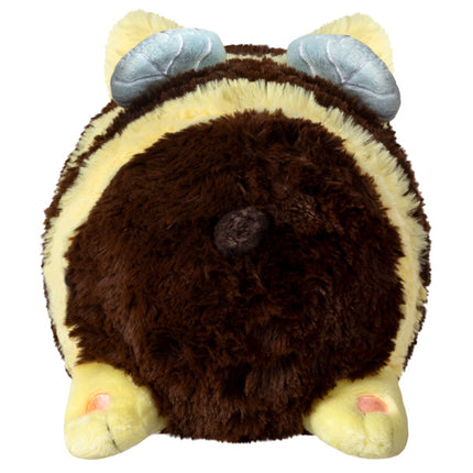 mini cat bee back