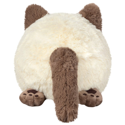Mini Colorpoint Kitty Back