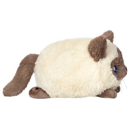 Mini Colorpoint Kitty Side