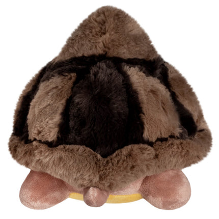 mini tortoise back image