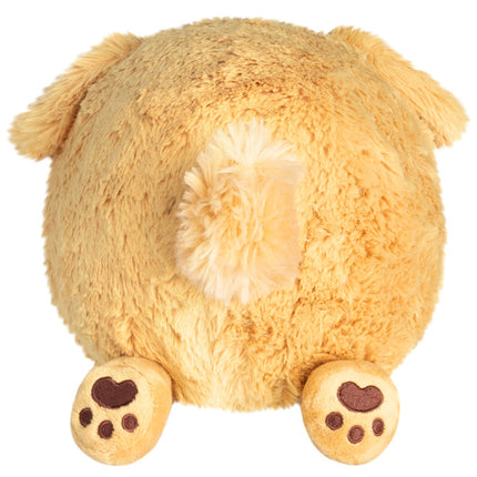 mini golden puppy back image