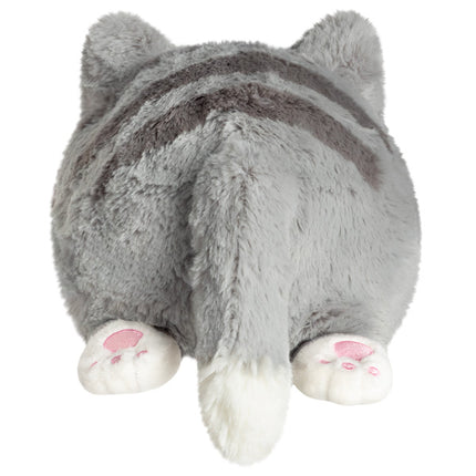 mini grey kitty back image