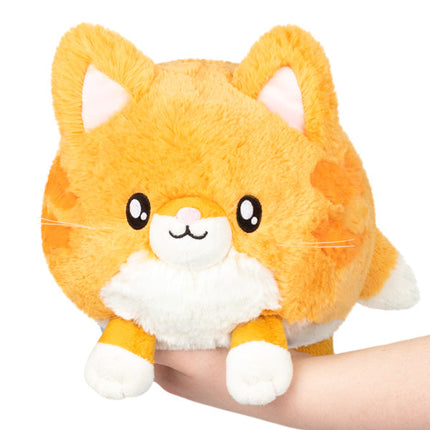 Mini Squishable Kitty Product Image