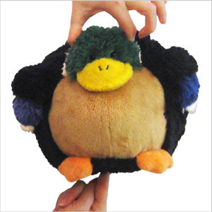 Mini Squishable Mallard