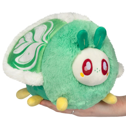Mini Squishable Matcha Moth Main Image