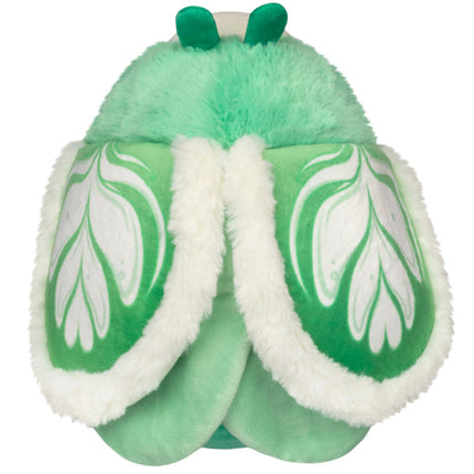 Mini Squishable Matcha Moth Top Image