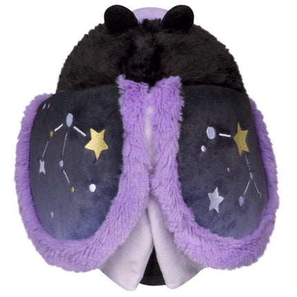 Mini Midnight Moth top view
