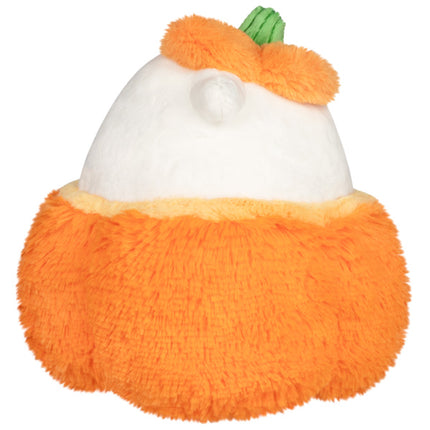 mini pumpkin ghost back photo