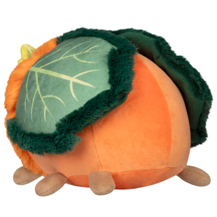 Mini Pumpkin Patch Moth Back Image