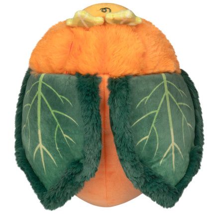 Mini Pumpkin Patch Moth Top Image