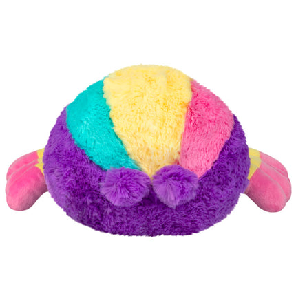 Mini Rainbow Spider Back View