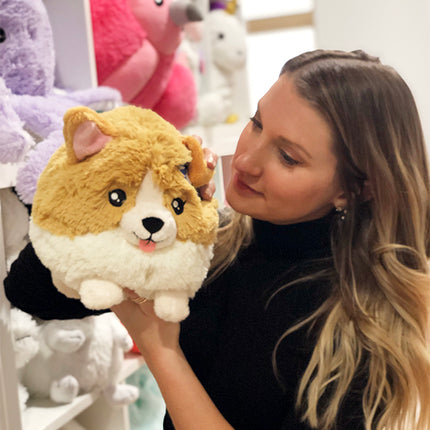 mini squish baby corgi 7 user1