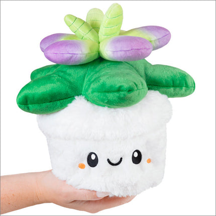 Mini Squishable Succulent Product Image