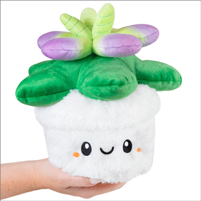 Mini Squishable Succulent Product Image