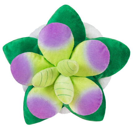 mini squish succulent 7 back