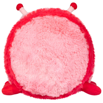 Mini Sweetheart Caterpillar Back View