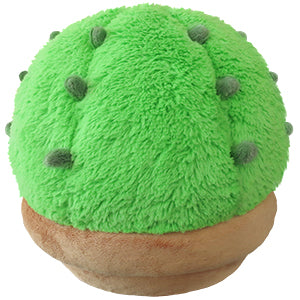 opensquish cactus 277071 back