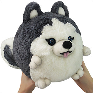 Mini Squishable Husky