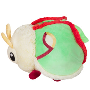 opensquish luna moth 295117 side