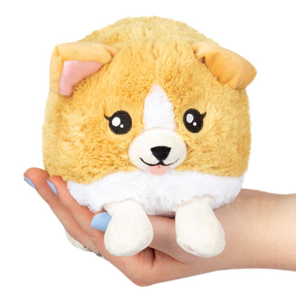 Snacker Baby Corgi Product Image