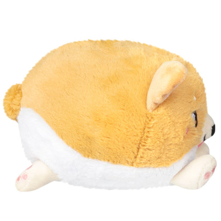 snacker baby corgi s1e4 side image
