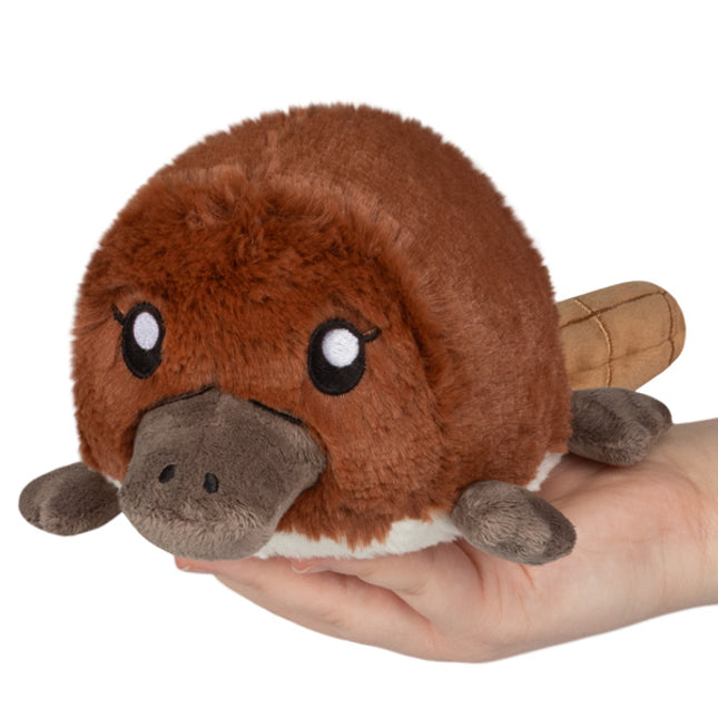 snacker baby platypus main image