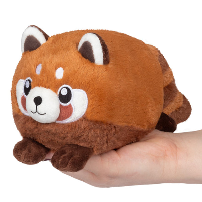 snacker baby red panda front image