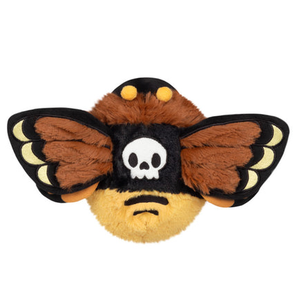 snacker deaths head hawkmoth back image